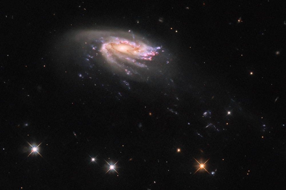 Hubble Space Telescope Discovers Jellyfish-Shaped Galaxy 700 Million Light-Years Away